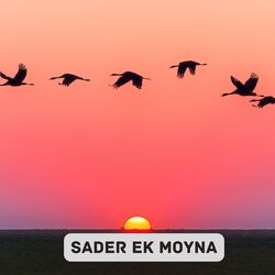 SADER EK MOYNA-NwEEch4EcVc