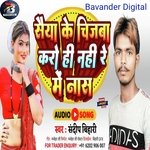 Saiya ke chijwa naiharbe mein karohi Nash ge (Maghi)