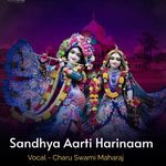 Sandhya Aarti Harinaam