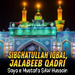 Saya e Mustafa SAW Hussain-RRo7fQZhAGM