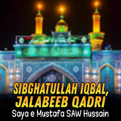 Saya e Mustafa SAW Hussain