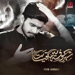 Shahre Kufa Mein Qayamat