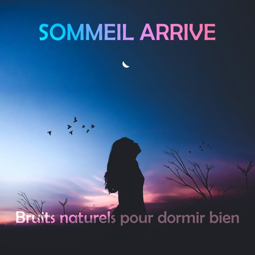 Sommeil arrive (Bruits naturels pour dormir bien)