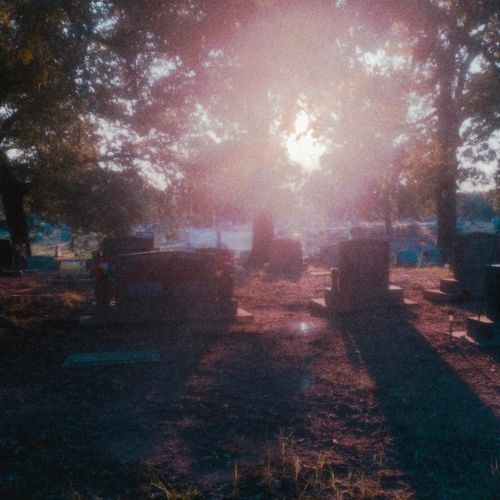 Joel cover art
