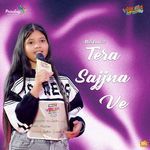 Tera Sajjna Ve
