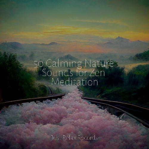 50 Calming Nature Sounds for Zen Meditation_poster_image