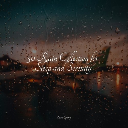 50 Rain Collection for Sleep and Serenity