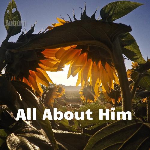 All About Him_poster_image