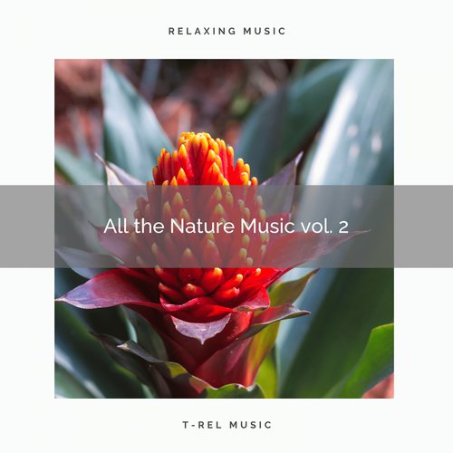 Universal Zen of Nature for Hard Dreams pt. 1 cover art