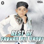 Best of Farhan Ali Qadri