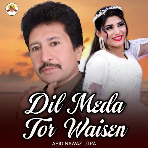 Dil Meda Tor Waisen