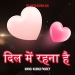 Dil Mein Rahna Hai
