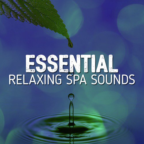 Essential Relaxing Spa Sounds_poster_image