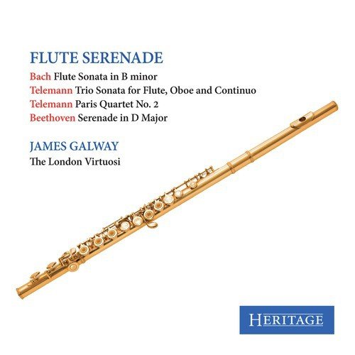 Flute Serenade