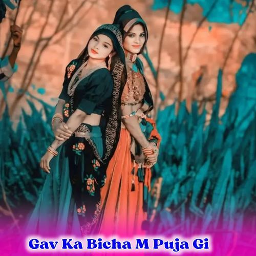 Gav Ka Bicha M Puja Gi