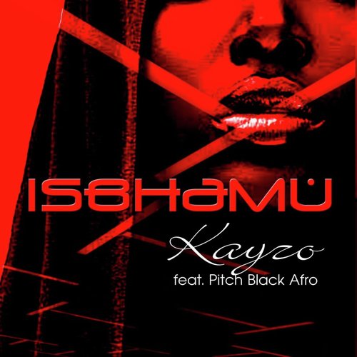Isbhamu (feat. Pitch Black Afro)