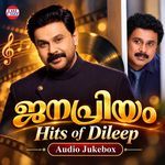 Konji Konji Chirichal (from "Avatharam") artwork