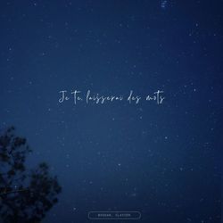 Je te laisserai des mots