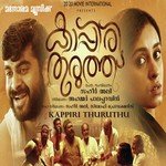 Theerchayilla Janam