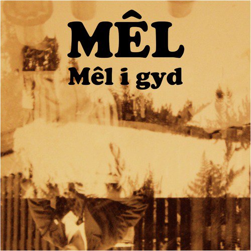 Mêl i gyd