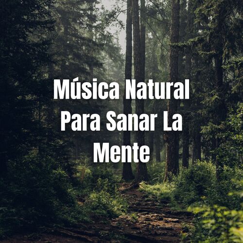 Pensamiento Positivo cover art