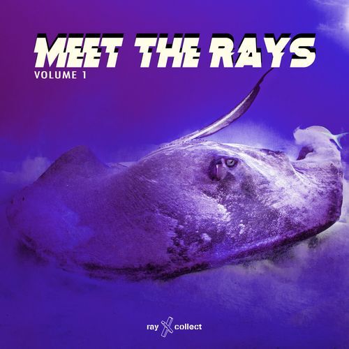 Meet The Rays EP, Vol.1_poster_image