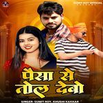 Paisa Se Tol Debo Ge artwork