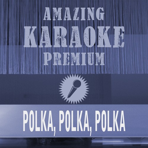 Polka, Polka, Polka (Premium Karaoke Version)