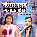 Roothe Mere Balam Manau Kaise