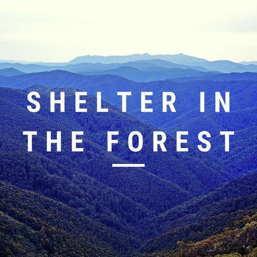 Rain Sound - Forest FX cover art