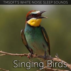 Singing Birds Sound