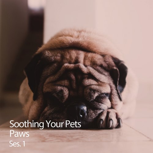 Sleepy Dogs cover art