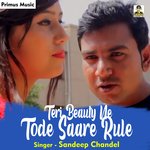 Teri Beauty Ne Tode Saare Rule (Haryanavi)