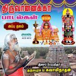 Yeraanaikka