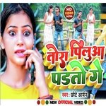 Tora pilluwa padto ge