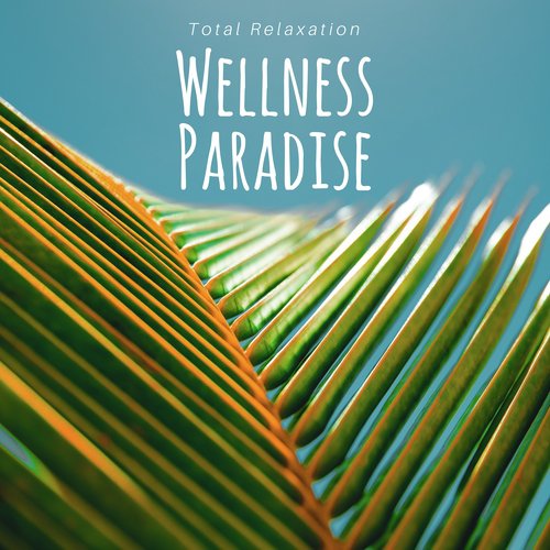 Meditation Zone cover art