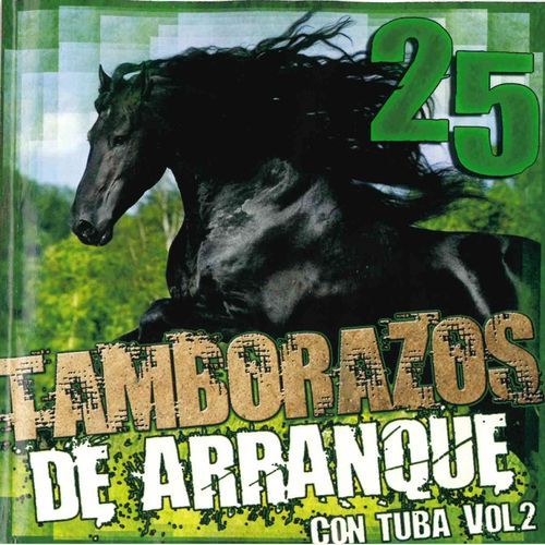 Martinez y Talamantes cover art