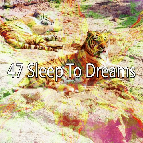 47 Sleep to Dreams_poster_image