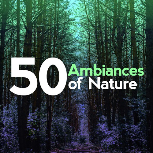 50 Ambiances of Nature: Sounds for Relaxation, White Noises for Sleep, Rest and Recovery, Spa Healing