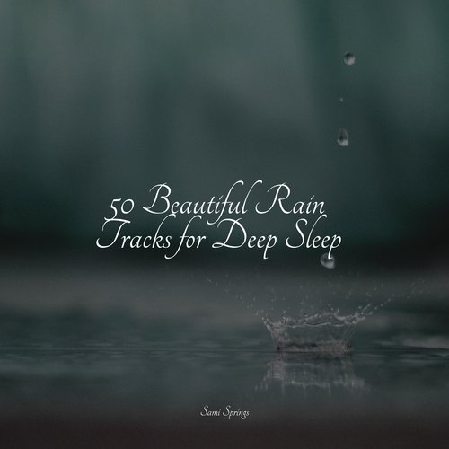 50 Beautiful Rain Tracks for Deep Sleep