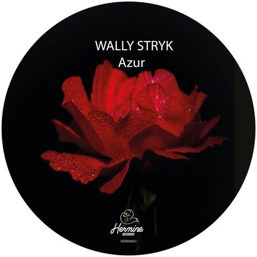 Again cover art