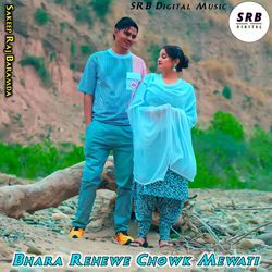 Bhara Rehewe Chowk Mewati