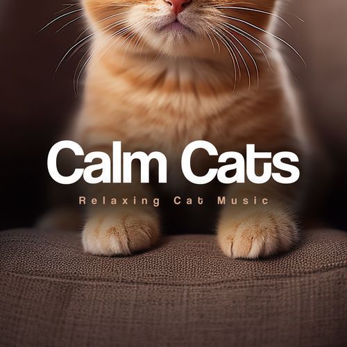 Calm Cats