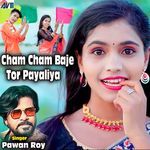 Cham Cham Baje Tor Payaliya