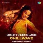 Chandni O Meri Chandni - Chillwave