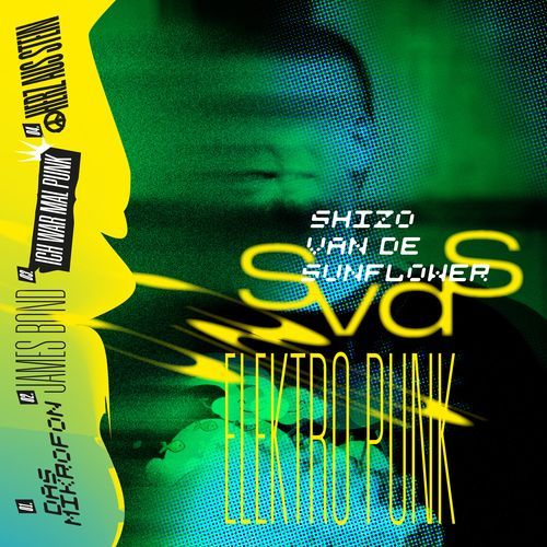 Herz aus Stein cover art