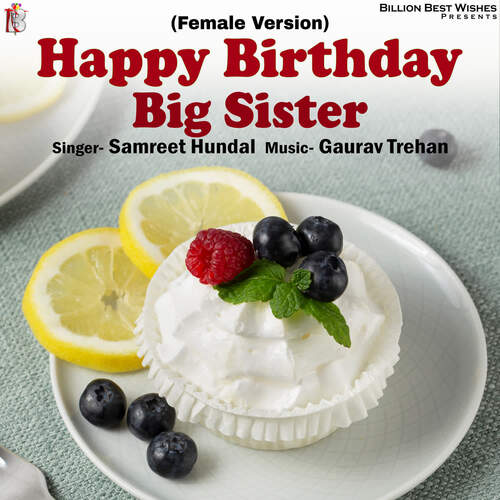 Happy Birthday Big Sister (Female Version)