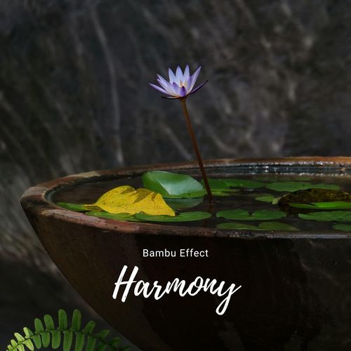 Harmony cover art
