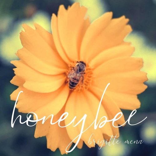 Honeybee cover art