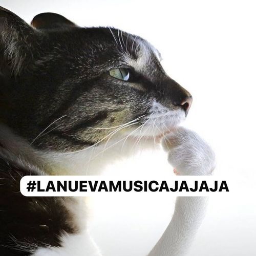 #LANUEVAMUSICAJAJAJA cover art